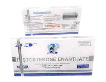 Enantato de Testosterona ZPHC — 250 mg/ml (10 ampolas × 1 ml, 2 500 mg no total)
